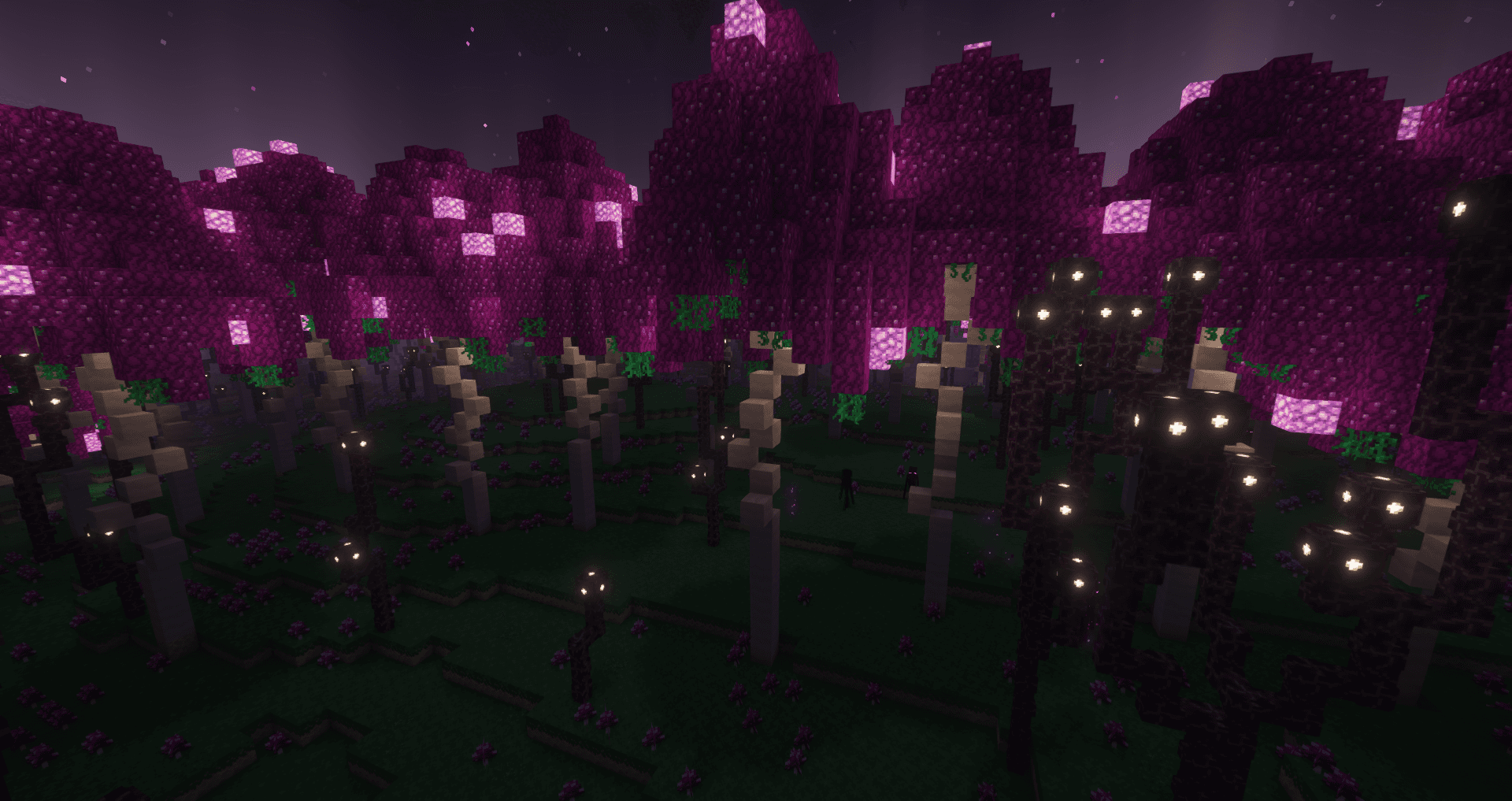 Screenshot 25